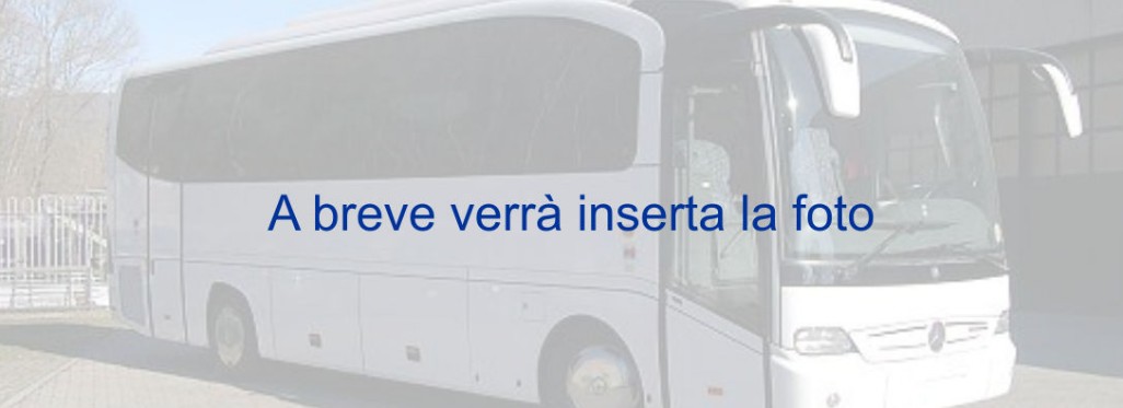 Noleggio pullman 37 posti Roma - Centra Bus Operator